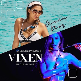 Vixen Mirror Group