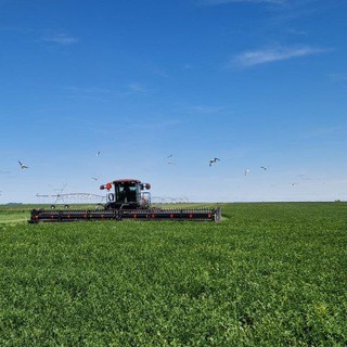 Минсельхоз Алтайского края