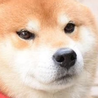 Дикая слива