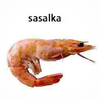 притон Песни полматери