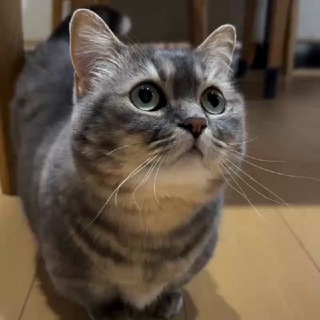 Чат админов