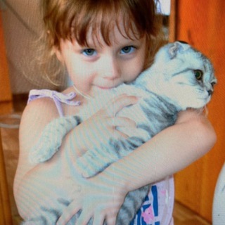 жожо бингобобо