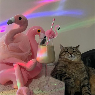 Взаимные подписки 🩷 реакции • подписка