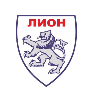 Лион – сеть продуктовых магазинов