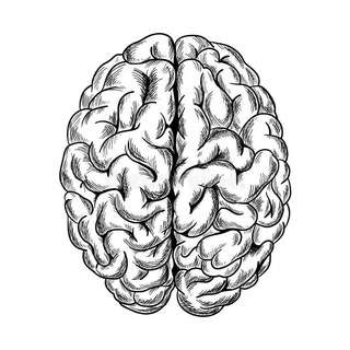 Мудрая База | Мотивация, Психология, Саморазвитие