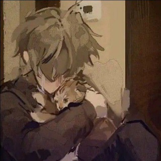 Тейки ТПОХ КФ