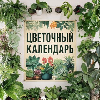 Цветочный календарь Москва и Петербург