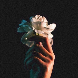 \ℙ𝕠𝕤𝕝𝕖𝕕𝕟𝕚𝕪_𝕥𝕒𝕟𝕖𝕥𝕤/