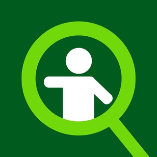 Скинмейкеры — Аналитика