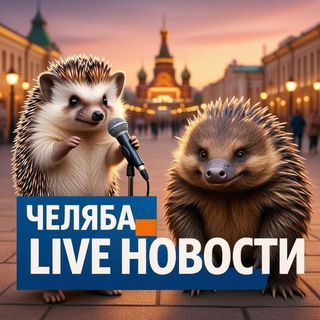 ЧЕЛЯБА LIVE Новости от колючего ежа и ехидны.