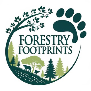 Forestry_footprints 👣 📚