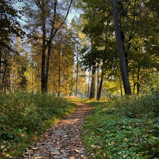 Жить креативно