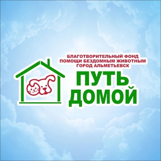 Путь домой 🐾 АЛЬМЕТЬЕВСК