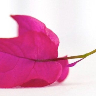 Остеопат на Бали, мануальный терапевт на Бали, Эви Сударто. Яванская медицина. Телеграм канал.