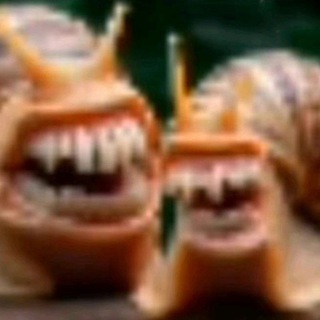 Грудь Беллы