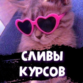 СЛИВЫ КУРСОВ