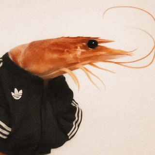 Ведро креветок 🦐