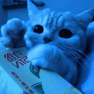 песни из тт / стикеры