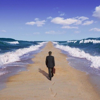 ПУТЬ ТРЕЙДЕРА