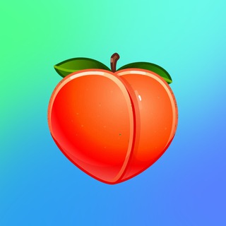 SLVBLOG Проекты 🔥