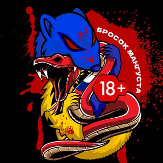 Бросок Мангуста 🇺🇦 18 ✙