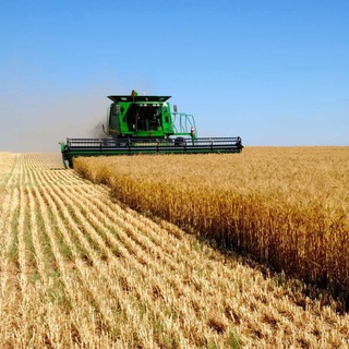 Фермерская лавка