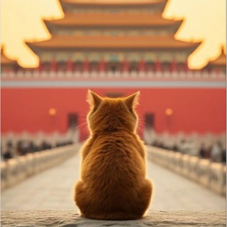 Shanghai_ru | г. Шанхай, Китай | КНР | 沪