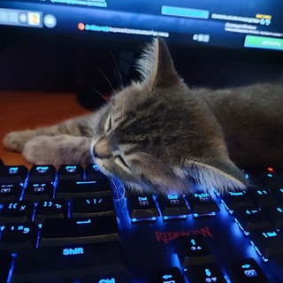 MALWARE 🗕 🗗 🗙