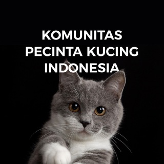 Komunitas Pecinta Kucing Indonesia (Sobat Gemoi)