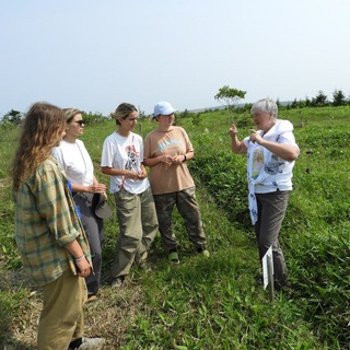 Туризм на Южных Курилах