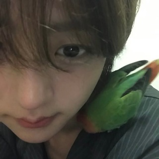 chat — chit ?¿ 🍓