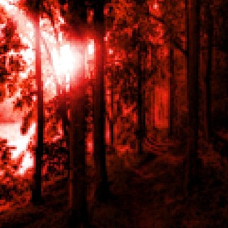 Лимбо Антона Синикожего🥀🔥