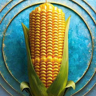 Аугсбург Лайв I Augsburg Live