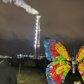 Смешные ТикТоки