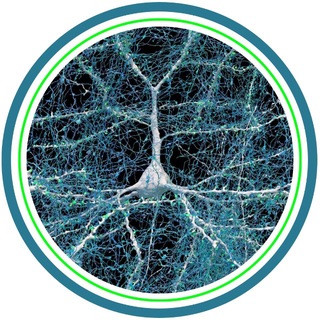 Mikail Yetkin | Kanal