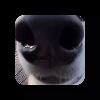 Правила игр