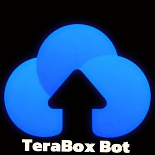 TeraBox Video Downloader Bot