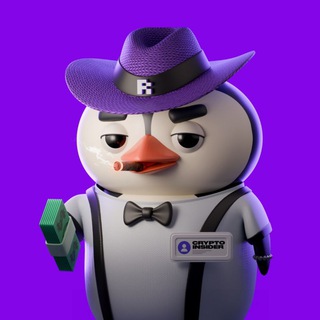 Crypto Insider