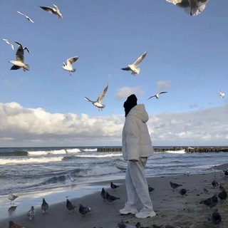 Chiroyli Rasmlar | Glavniga Rasmlar