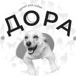 Комментарии к каналу ВГОО «Общество защиты животных «Дора»