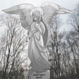 Алиса и её трапы