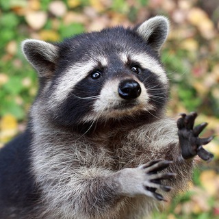 Вестник Апокалипсиса