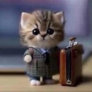 расписание школы №7 Тавда