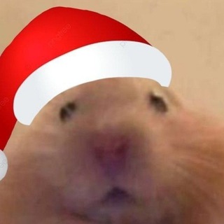 чат общения