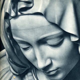 YOUNG WILD AND FREE 🆓