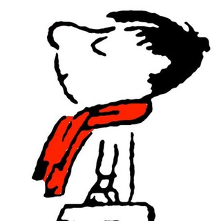 Одной фразой