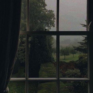 Вау темки<3🪄