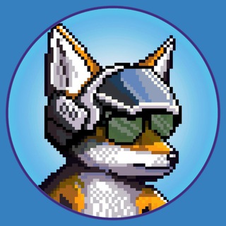 Aviator - $AVI Community ✈️