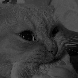 Интернет урок ответы | 10-11 классы