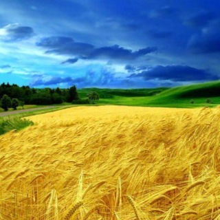 UKRAINE 🇺🇦 LIVE 🔴